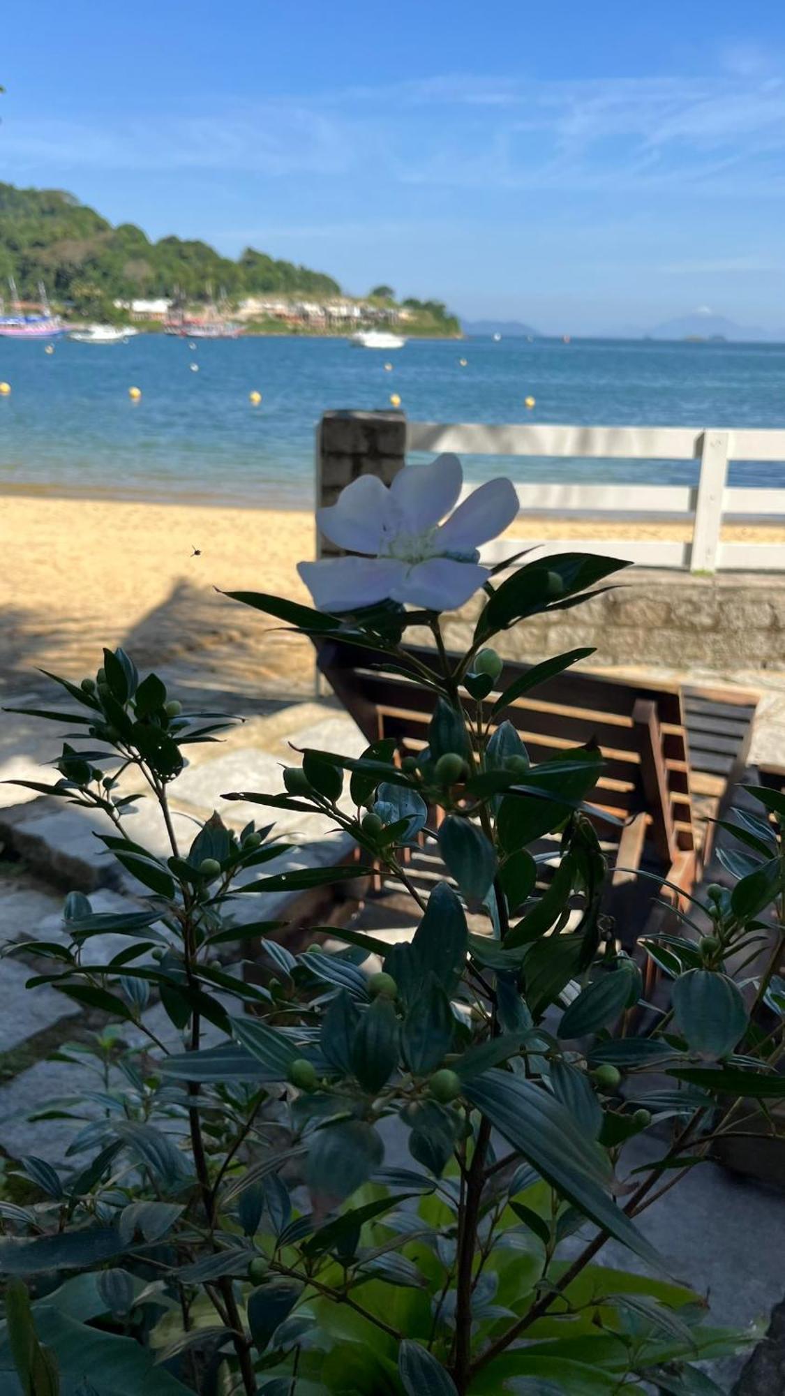 Guest House Floresta Mar アングラドスレイス エクステリア 写真